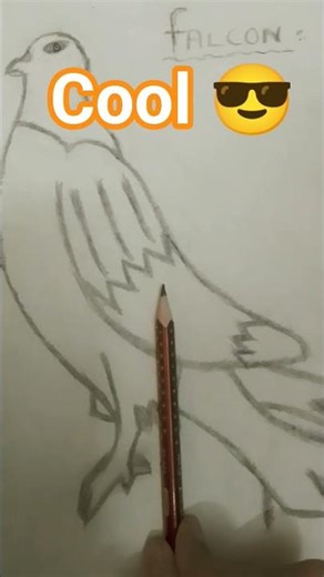 Very nice and cool drawing of falcon