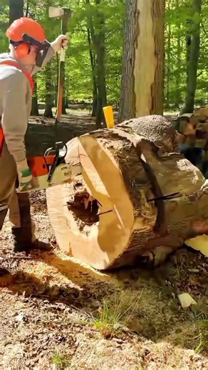 log splitter hydraulic