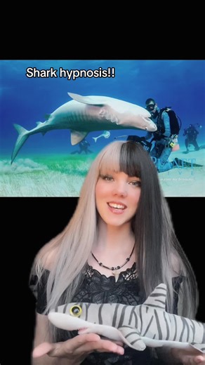 Understanding Shark Hypnosis: Fascinating Facts