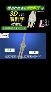 Proximal Humerulnar Joint [Complete Understanding in 3D] The Elbow Joint is "3 Joints" | Elbow An...