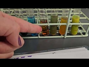Lab 5 - Procedure 5.5 (Starch digestion with Amylase)