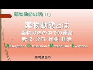 薬物動態の話(11) 薬物動態とは 薬物の体の中での運命吸収・分布・代謝・排泄 Absorption・Distribution・Metabolism・Excretion