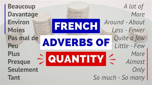 French Adverbs of Quantity