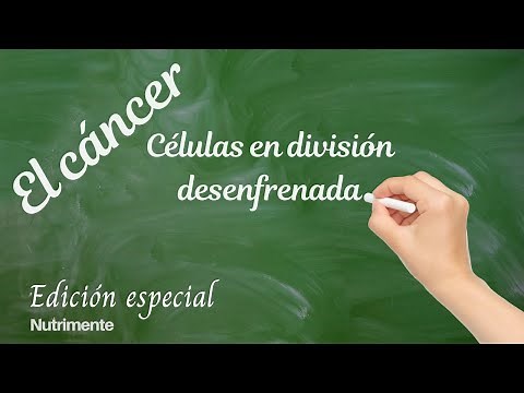 What is cancer? When cells lose control