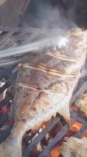 31K views · 1.5K reactions | You’re getting perfectly grilled fish...