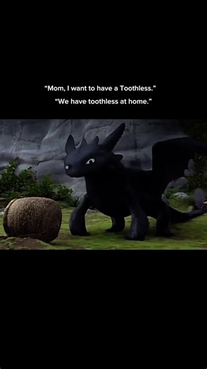 Night Fury on TikTok