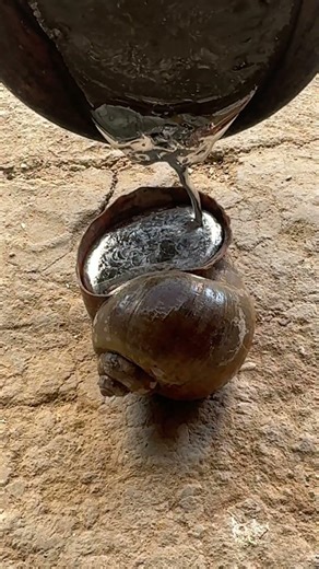 Scrap metal transforms into stunning snail shell art #shorts #restoration #satisfying