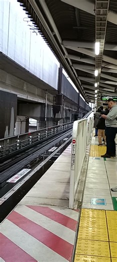 【ニューシャトル】鉄道博物館駅入線シーン #入線シーン #ニューシャトル #新交通システム #モノレール #train #鉄道博物館