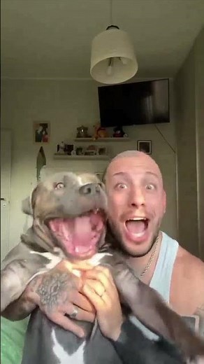 😂 Funny Dogs Compilation 2026 | Try Not To Laugh 🐶