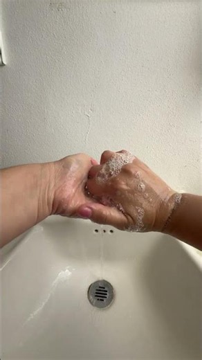 Técnica de la higiene de manos
