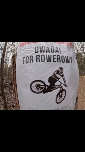 Riding MTB Bike Track in the Forest Dirt Jump #pov ##ride #rider #mtb #shorts #gopro #jump #tricks