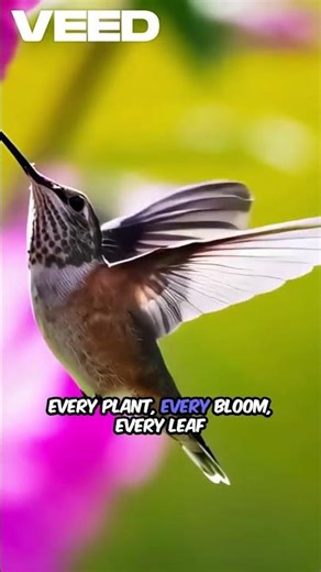 Tropical Paradise Gardens