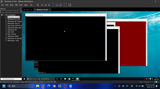 自制bat病毒测试