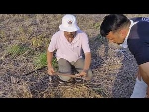 Use of screw auger 1