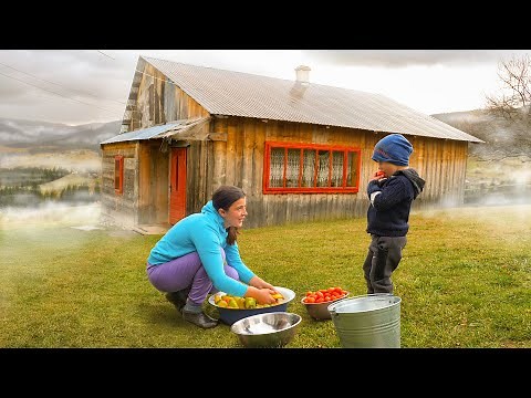 Living Off the Grid: How a Big Family Finds Happiness in the Mountains
