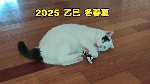 过年了，大家别太辛苦了【vLog1】