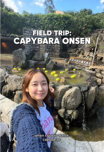 Visit the Unique Capybara Onsen in Shizuoka, Japan