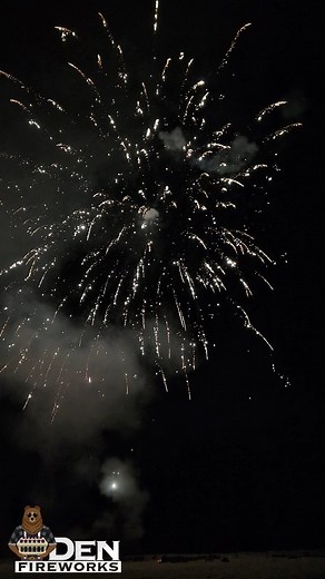 52 reactions · 16 comments | Nishiki Kamuro canister shells Dominator Pro Level #fireworks so regular consumer! | Den Fireworks | Facebook