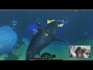 FEED AND GROW FISH Gameplay | Giant Shark Evolution & Ocean Survival! 🌊🦈