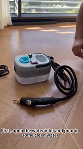 2500W Handheld Steam Cleaner,Portable Car Steamer For Auto Detailing,High-Temperature and Pressure Steam Cleaner For Home, Steam Cleaning Machine for Furniture,Kitchen,Grout,Floor,Tile (Gray)