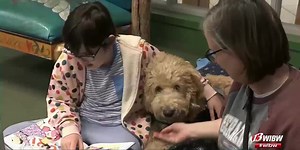 Children practice reading with dogs at the Shawnee Co. Public Library