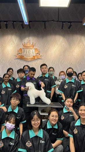 PETS ICON GROOMING ACADEMY | A German Clip demo by Teacher Gavin #petsiconpiga #petsicongroomingacademy #piga #doggrooming #petsiconinternational #grooming #Poodle | Instagram