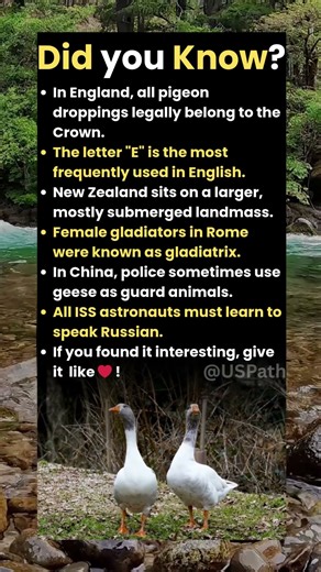 Did you know " in England all pigeon droppings legally belong to the crown"?