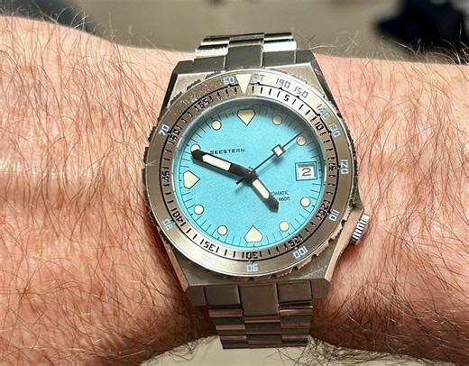 Seestern Dive Watches