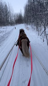 Bar CS Ranch on Reels