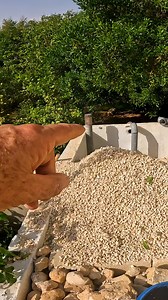 Geoff takes us on a tour of the Greening the Desert food forest on the Oasis site, where he shows us a reed bed that is currently under construction. This innovative system filters grey water through fine gravel, allowing all house wastewater to irrigate support species and fruit trees in the food forest. This system is a great way to conserve water and promote sustainable agriculture. #permaculture #discoverpermaculture #greywater #reedbed #greeningthedesert #jordan #foodforest #food #organicfo