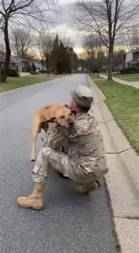 🥰 Real life Scooby Doo welcomes home a hero. Unbelievable reunion moment #doglover #hero #emotions