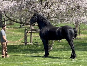 49K views · 2.4K reactions |  Introducing Windermere’s Zain! ...