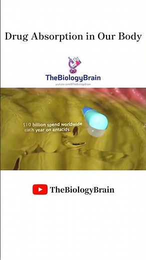 How Drugs Are Absorbed in Your Body. #medicine #health #shorts #youtubeshorts