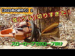 【2025年の薪作り】１：弦（ツル）切りすぎた！