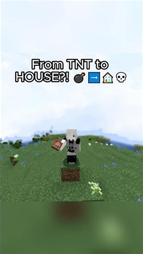 House + TNT = 💀