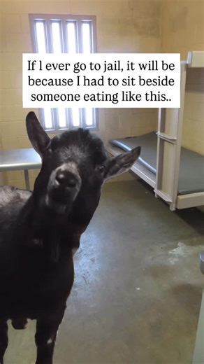 ecards on Instagram: "😂😂"