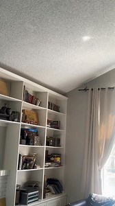 19K views · 77 reactions | A sparrow flew into our house today… | Las Vegas | Facebook