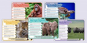 KS1 Endangered Animals Posters