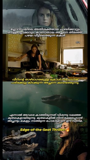 ശ്വാസം അടക്കിപ്പിടിച്ചല്ലാതെ കണ്ട് തീർക്കാൻ പറ്റില്ല! 🔥| Crawl Review Malayalam#survivalthriller