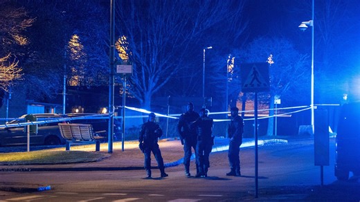 Man död efter skjutning på Adolfsberg i Helsingborg