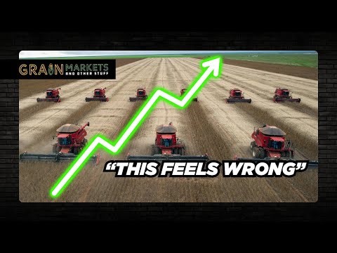 Why Everyone HATES the Soybean Rally