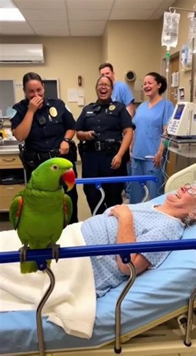 Talking Green Parrot Makes 3 Lady Cops Cry Laughing in Interrogation Room 😂