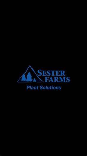 Efficient Composting with The Beast Horizontal Grinder