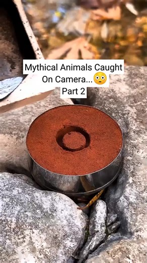 Mythical Animals Caught On Camera: The Bloop Revealed
