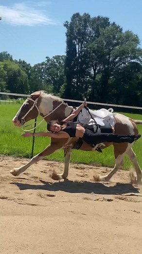 Megan Miller on TikTok