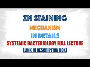 Ziehl Neelsen(ZN) staining Process mechanism : Microbiology