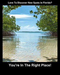 Closer than you think, calmer than you expect. | Florida Day Trips