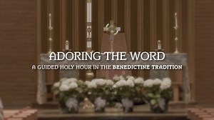 10K reactions · 627 shares | Belmont Abbey College is excited to...