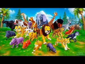 The INSANE Jungle Animal Race that Will Leave You SPEECHLESS | Funny Animals