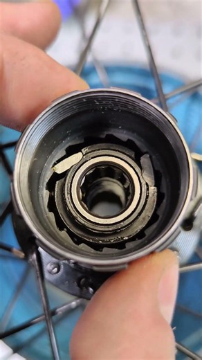 Clean and freshly lubricated bicycle freehub body after service